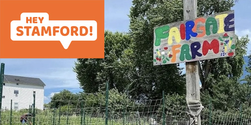 Inside Fairgate Farm: How Stamford's Urban Farm is Growing Food, Community and Opportunity for All