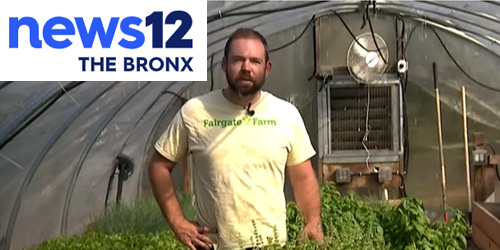Produce from Fairgate Farm Featured During Stamford Restaurant Weeks